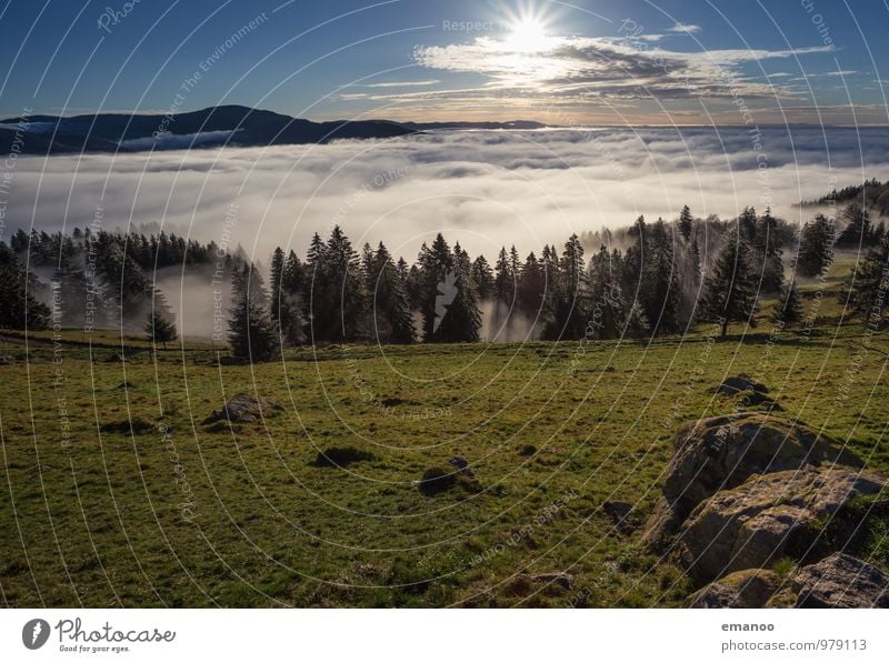 Inversionland II Ferien & Urlaub & Reisen Ausflug Ferne Freiheit Sonne Berge u. Gebirge wandern Umwelt Natur Landschaft Himmel Wolken Herbst Klima Wetter Nebel