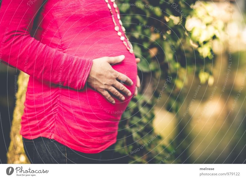 "schöne Kugelzeit" Mensch feminin Junge Frau Jugendliche Mutter Erwachsene Hand Babybauch 1 30-45 Jahre Natur Sonnenlicht Herbst Schönes Wetter Baum Blatt Teich