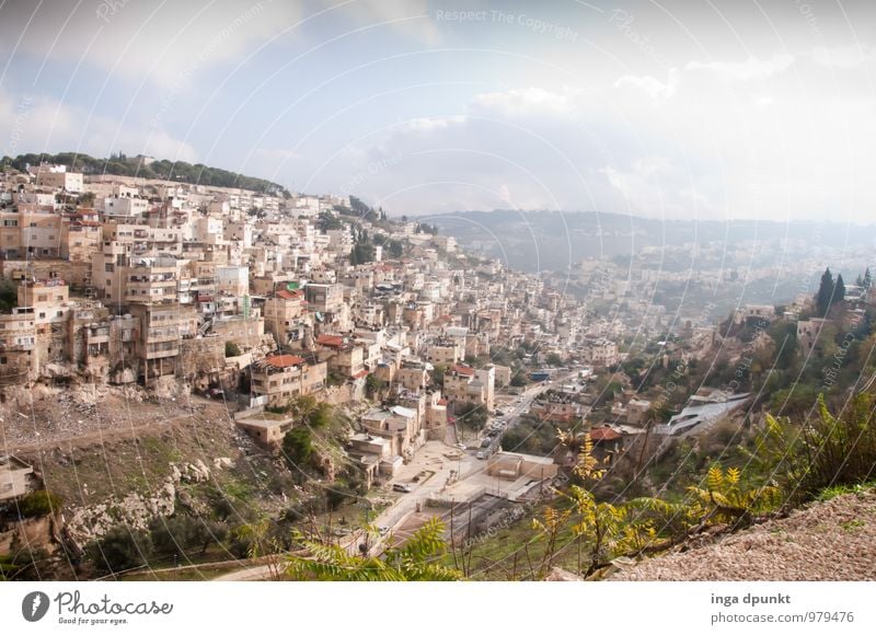 Jerusalem Umwelt Natur Landschaft Pflanze Hügel Berge u. Gebirge Israel Stadt Hauptstadt Stadtrand Haus Gebäude bauen Häusliches Leben planen Wohnsiedlung