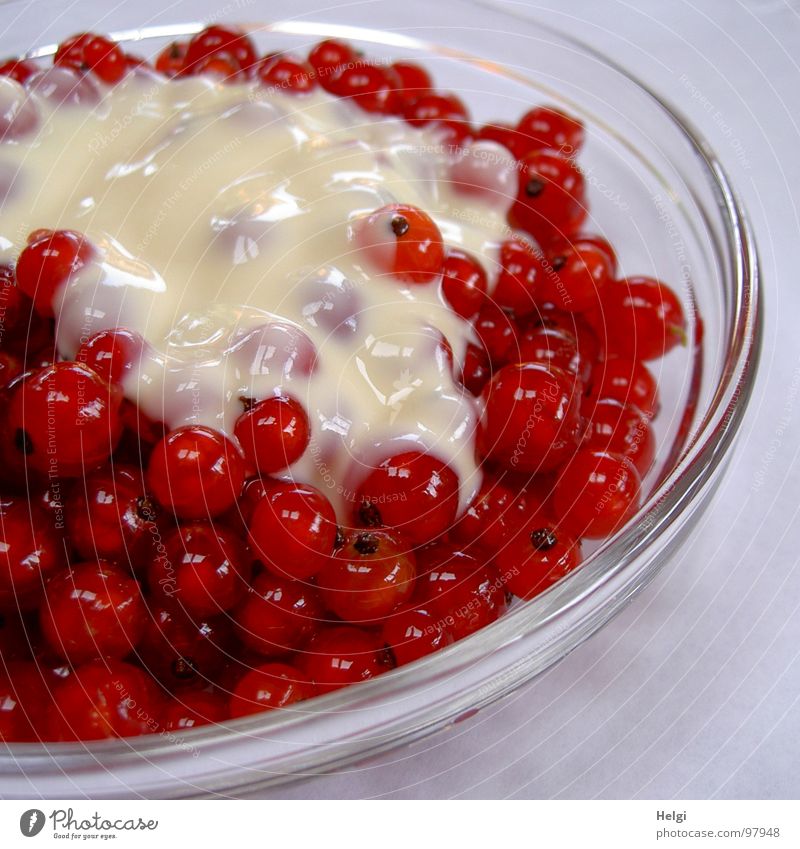 Glasschale mit roten Johannisbeeren und Vanillesoße Vanillesauce lecker hellgelb Dessert fruchtig Gesundheit genießen klein mehrere Schalen & Schüsseln Saucen