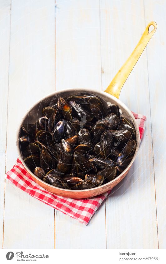 Muscheln kochen Lebensmittel Meeresfrüchte Abendessen Topf Pfanne Billig gut Miesmuschel Muschelschale Küchenhandtücher kariert Holz Kupfer Kupferpfanne