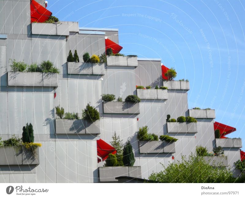 Wir bleiben zuhause! Balkon Stadt Frühling Sommer Betonklotz Pflanze himmelblau Gebäude Haus Karlsruhe Wetterschutz Leben Gesellschaft (Soziologie)