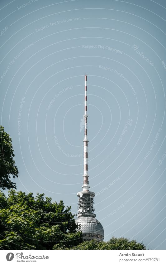 Spitze vom Berliner Fernsehturm Tourismus Städtereise Wolkenloser Himmel Sommer Baum Berlin-Mitte Stadt Hafenstadt Stadtzentrum Turm Sehenswürdigkeit