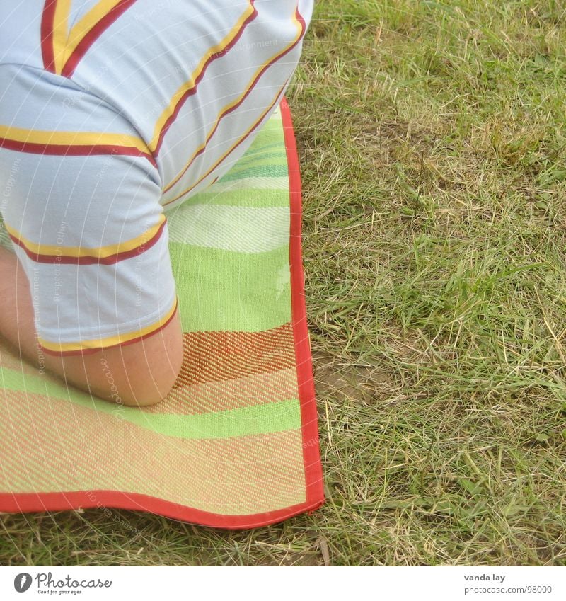 Gestreift picknicken Picknick Sommer gestreift Gelenk T-Shirt Erholung Gras grün Quadrat Streifen Konzert Decke open air Musikfestival Arme im grünen Ernährung