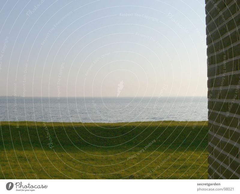 weitsicht Meer Sonnenaufgang Wand Mauer Gras grün Hügel Horizont Morgen Nebel intensiv leer Einsamkeit Küste ruhig Wellness Erholung atmen Aussicht Hotel schön