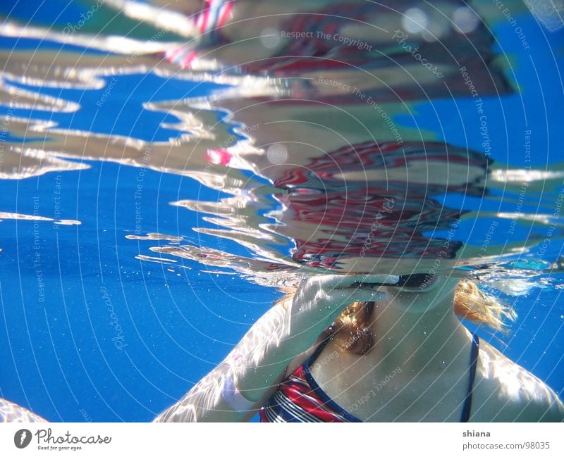 Kopflos im Meer Mädchen tauchen Frau Sommer Taucher Bikini Badeanzug Hand rot Wasseroberfläche Oberfläche Wassersport Spieglung Wasserspieglung blau Haut Arme