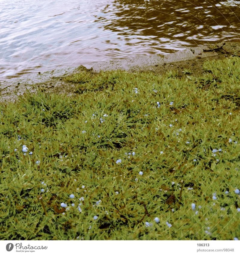 LANDSCHAFTSARCHITEKTUR Wiese Korn Bach Gewässer Elektrizität Fälschung grün organisch braun rot Fluss Dresden Rasen Hagel hagelkörner Regen Illusion Schatten