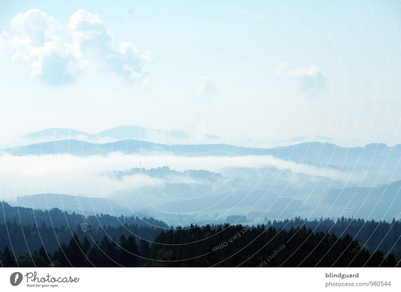 Far Far Away Tourismus Abenteuer Ferne Freiheit Sommer Berge u. Gebirge wandern Natur Landschaft Pflanze Urelemente Luft Himmel Schönes Wetter Nebel Wald Hügel