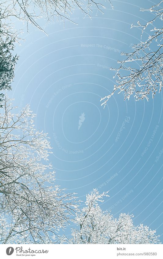 in allen vier Ecken... Ferien & Urlaub & Reisen Tourismus Winterurlaub Berge u. Gebirge Trauerfeier Beerdigung Gartenarbeit Umwelt Natur Landschaft Himmel