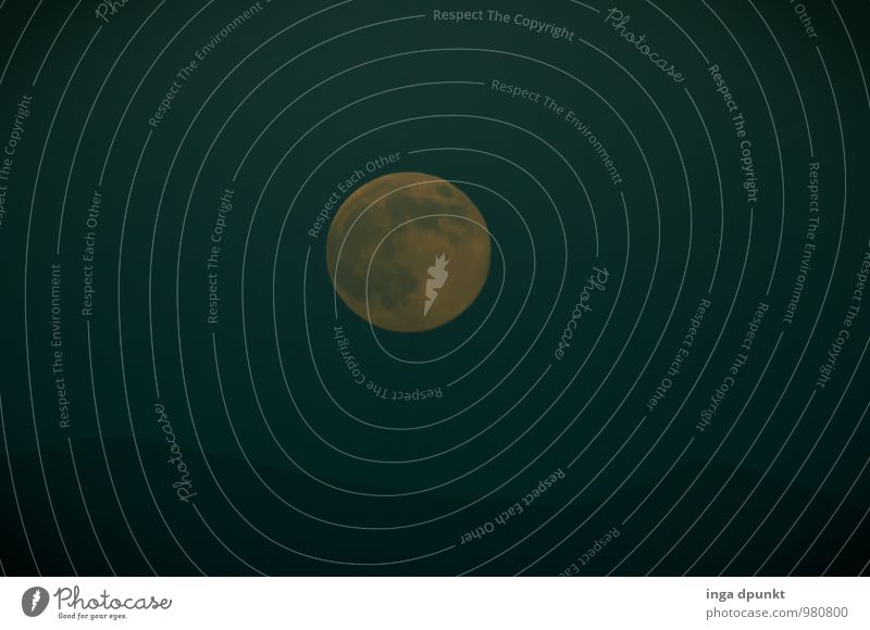 Vollmond Umwelt Natur Landschaft Urelemente Luft Himmel Nachthimmel Mond Felsen Berge u. Gebirge Wüste Israel Negev dunkel groß träumen geisterhaft