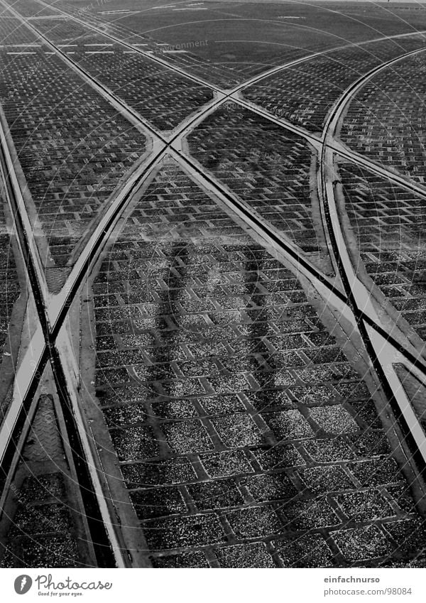 alle Wegen führen nach... Außenaufnahme Wege & Pfade Gleise kreuzen Verkehrswege Schwarzweißfoto Bahnschienen verzweigt Mischung Plastersteine Linie weich