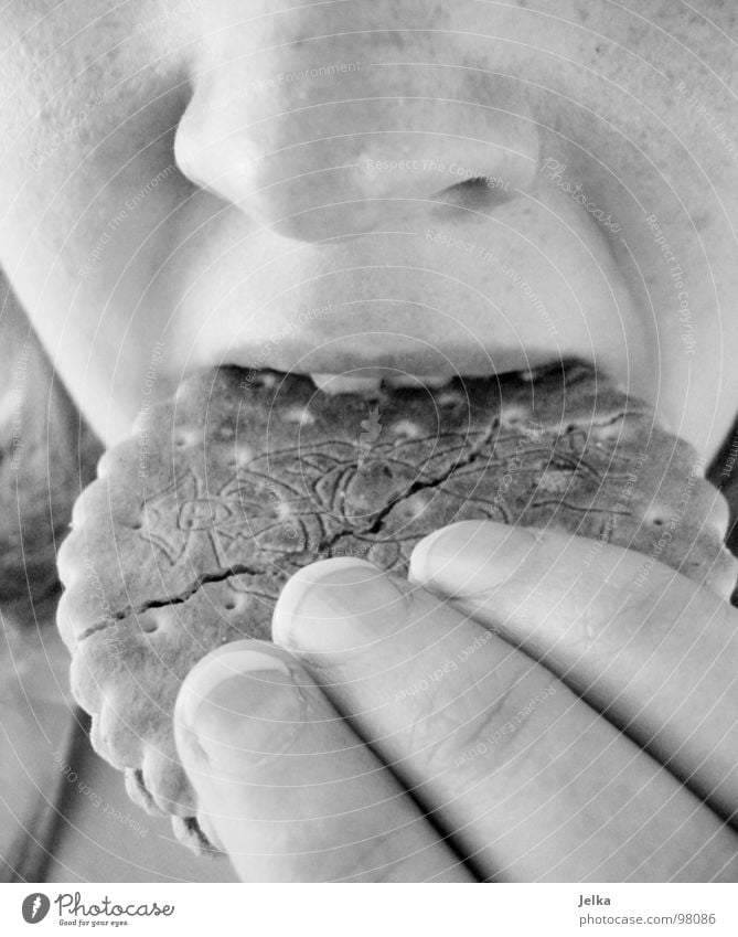 wer doppelkekse auseinanderpult, beklaut auch alte omis! Lebensmittel Dessert Schokolade Ernährung Essen Gesicht Mensch Frau Erwachsene Nase Mund Zähne Hand