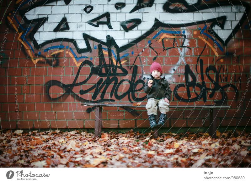 wie wir sind und wie wir werden Lifestyle Stil Kleinkind Junge Kindheit Leben Körper 1 Mensch 1-3 Jahre Herbst Blatt Stadtrand Mauer Wand Fassade Holzbank Bank