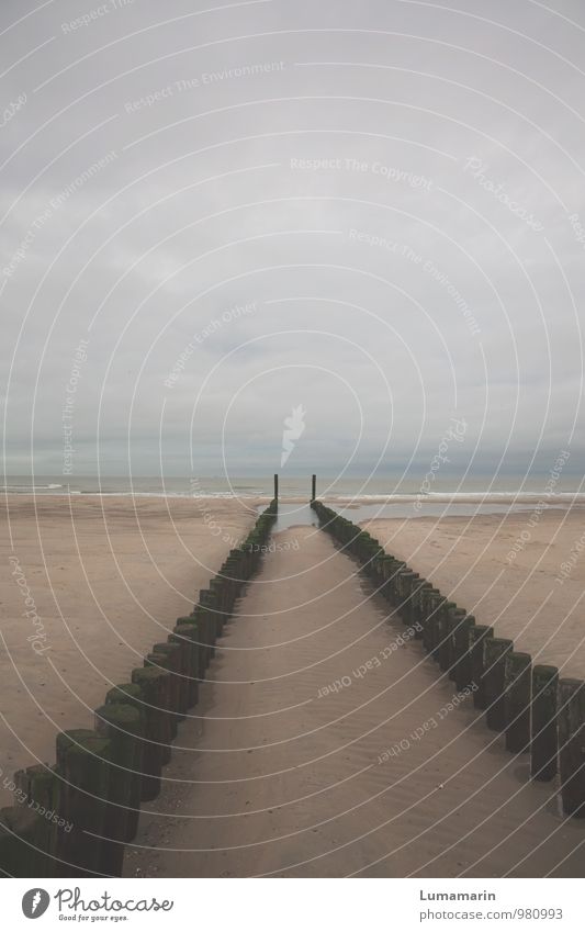 auswärts Umwelt Landschaft Urelemente Sand Wasser Himmel Wolken Horizont Herbst schlechtes Wetter Wellen Strand Nordsee Buhne Holzpfahl stehen kalt lang nass