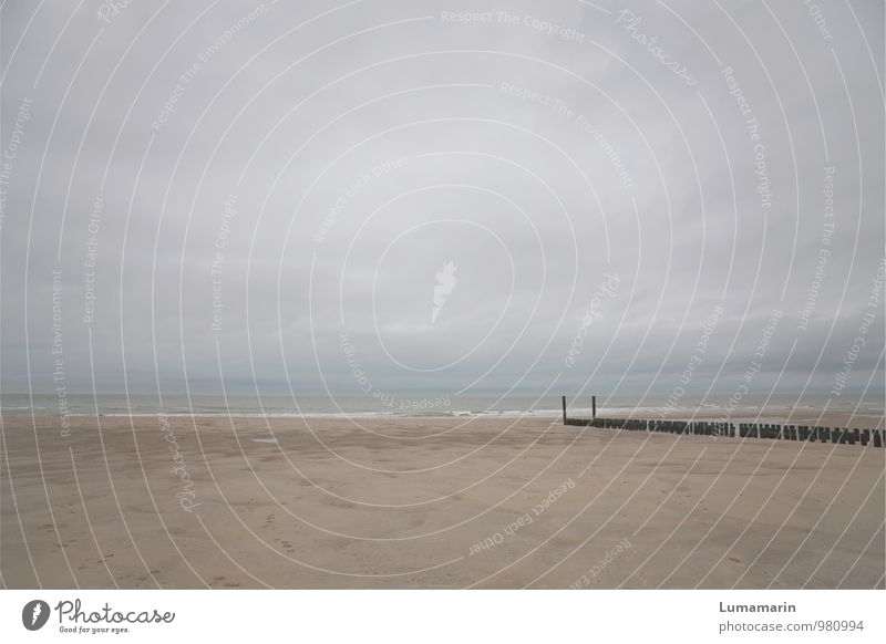 standhaft Ferien & Urlaub & Reisen Ferne Strand Meer Umwelt Landschaft Himmel Wolken Horizont Herbst schlechtes Wetter Wellen Nordsee Buhne groß schön