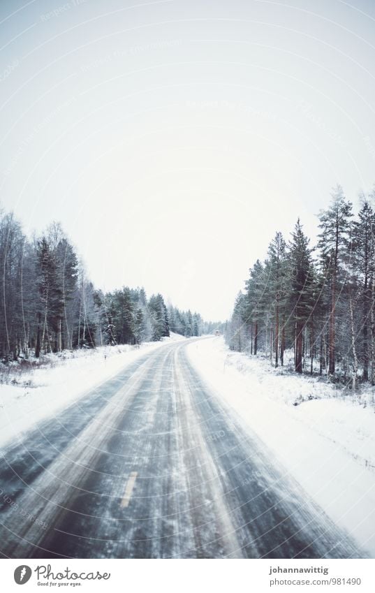 The wind would love to stay here with you. Natur Winter Wind Nebel Eis Frost Schnee Schneefall Baum Autofahren Busfahren Straße Wege & Pfade authentisch