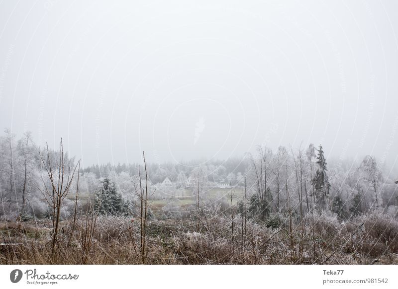 Raureifland Winter Umwelt Natur Landschaft Eis Frost Hagel Schnee Wiese Feld Wald Hügel ästhetisch Coolness Farbfoto Gedeckte Farben Außenaufnahme Menschenleer