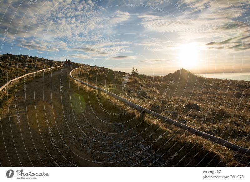 Wanderers Ziel Berge u. Gebirge wandern Landschaft Erde Himmel Wolken Horizont Sonne Herbst Harz Brocken Gipfel Hochplateau blau braun grau Fußweg Gegenlicht