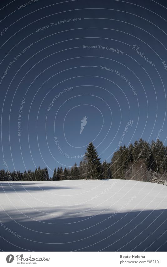 Ski und Rodel gut! Ferien & Urlaub & Reisen Tourismus Winter Schnee Winterurlaub wandern Natur Landschaft Wolkenloser Himmel Sonne Sonnenlicht Baum Schönwald