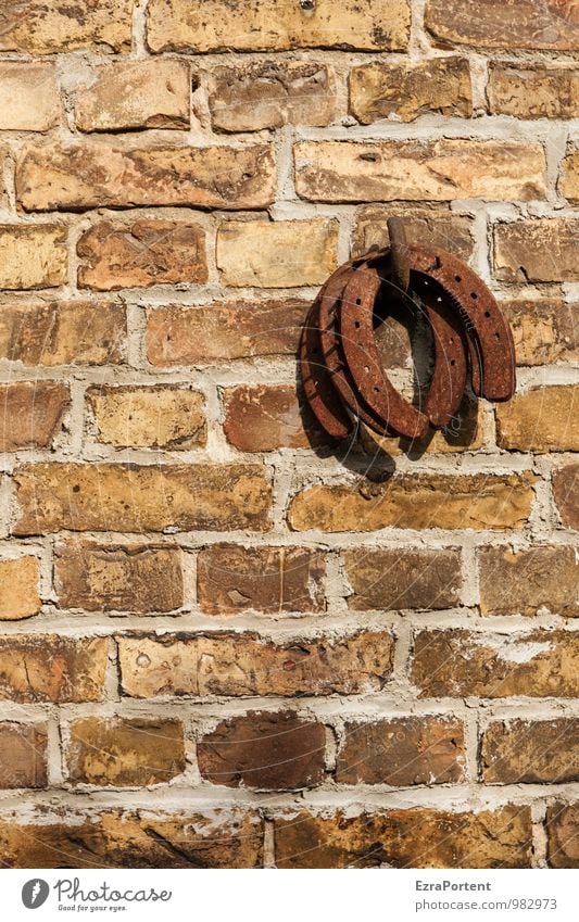 gebrauchtes Glück Haus Bauwerk Gebäude Architektur Scheune Mauer Wand Fassade Pferd Stein Metall Linie braun Gefühle Hufeisen Rost Glücksbringer Farbfoto