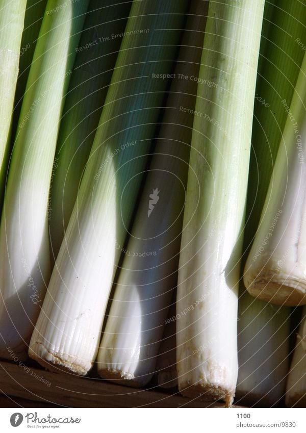 Lauch grün Knollengewächse Ernährung Gemüse Porree Schatten lauchsuppe Zwiebel krautige pflanze