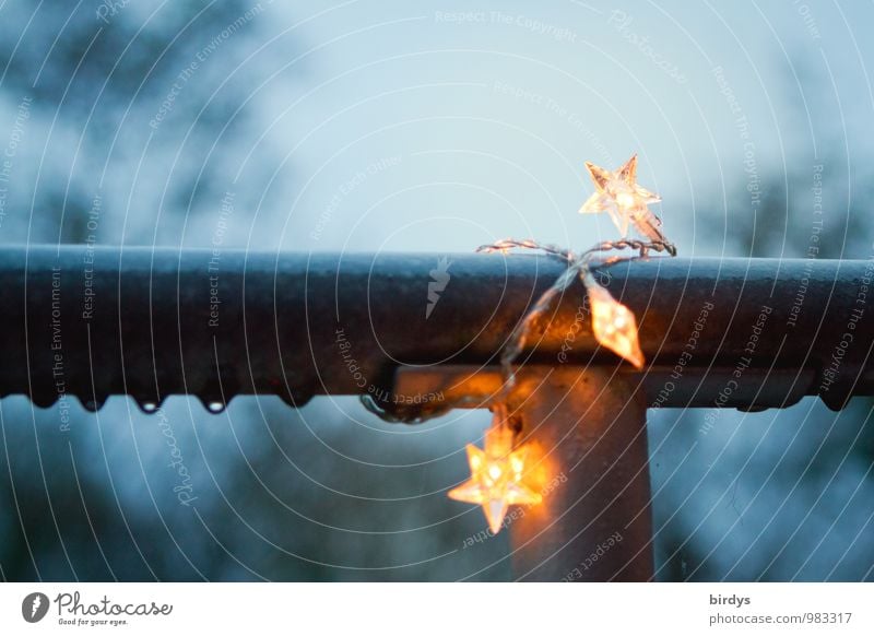 Vorweihnachtszeit Dekoration & Verzierung Wassertropfen Winter Geländer Stern (Symbol) Lichterkette leuchten nass blau gelb Weihnachten & Advent Regen