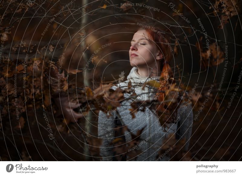 ... Lifestyle Mensch feminin Junge Frau Jugendliche Erwachsene Leben Körper Kopf 1 Sonne Sonnenlicht Herbst Baum Sträucher Blatt Wald Pullover Haare & Frisuren