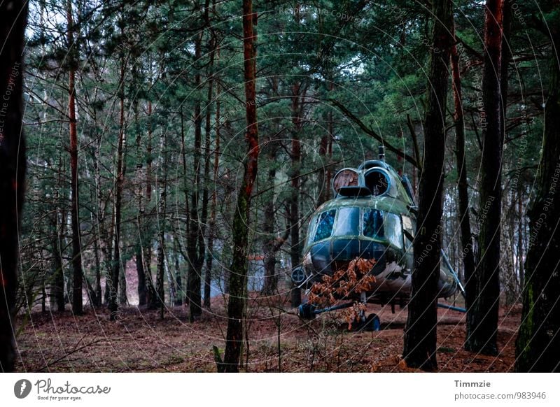 lost in the woods Luftverkehr Kunst Ausstellung Wald Hubschrauber Fluggerät Verfall Vergangenheit Vergänglichkeit Mi-8 NVA lost place Außenaufnahme