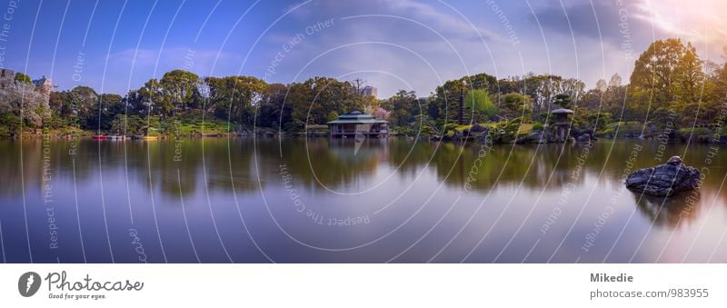 Kiyosumi Teien in Tokyo Landschaft Pflanze Tier Wasser Himmel Frühling Schönes Wetter Kirschblüten Garten Park Hügel Seeufer Teich Schildkröte 1 exotisch