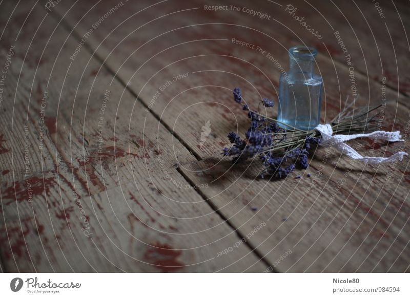 alt aber schön 4 Kräuter & Gewürze Lavendel Glasflasche Parfumflakon violett blau altehrwürdig old-school historisch Provence französich zart Farbfoto