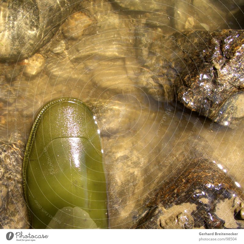 Mimikry-Workshop Bach Strömung Stiefel Gummistiefel nass fließen grün glänzend Angeln Gewässer stehen treten Fluss Wasser Felsen Stein Sand Natur fassungslos