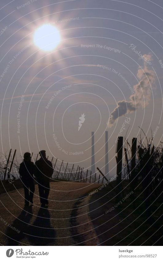 Kraftwerksidylle II Weinberg Gegenlicht Februar Industrie Himmel Stromkraftwerke Spaziergang Paar Schornstein Rauch Wege & Pfade paarweise