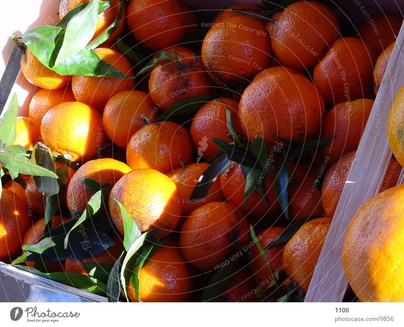 orangen Orange Licht Gesundheit Schatten Frucht