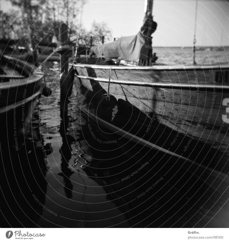 Boote Wasserfahrzeug Auswanderer Segelboot Reflexion & Spiegelung Wellen 3 Holz Tourist Meer rausfahren Sehnsucht Holga Baum Sträucher Steinhuder Meer Hannover