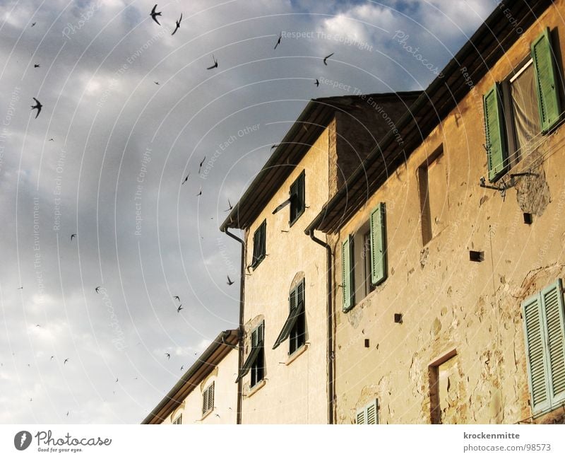 Ein Haus in der Toskana Wolken Vogel Gebäude Italien Ferien & Urlaub & Reisen Fenster Fensterladen schlechtes Wetter Leidenschaft Fassade Sturm grün Himmel