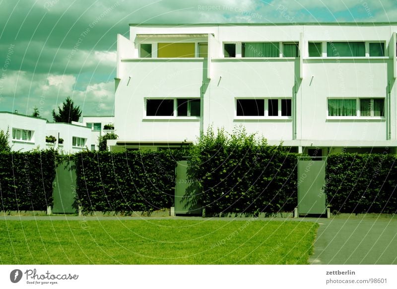 Reihentraumhaus Haus Einfamilienhaus Neubau Mieter Vermieter Hecke Fassade Eingang Eingangstür Zugang geschlossen abweisend Sommer Physik heiß Traumhaus