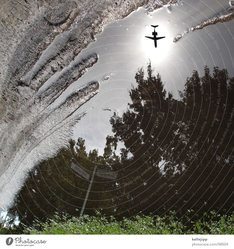 ab aufs land Pfütze Flugzeug Abdeckung springen Reflexion & Spiegelung Spiegelbild Düsenflugzeug Flugzeugstart abgehoben Passagierflugzeug träumen Baum