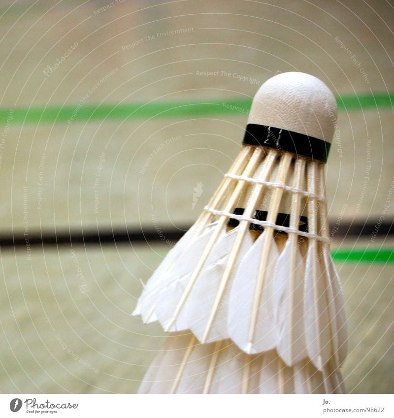 Federball Badminton Kork Spielen Gegner schlagen Ballsport Sport Lagerhalle TV Refrath 2. Bundesliga knicken Gänsefedern Rückschlag