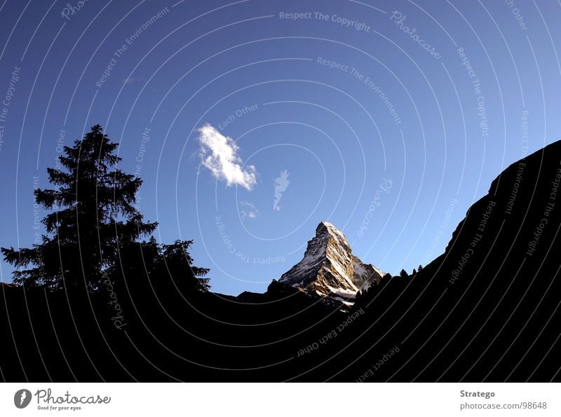 Matterhorn III Tanne Wald Hügel Beleuchtung glänzend Abendsonne schön prächtig Macht Gipfel Schweiz Kanton Wallis Bergsteiger besteigen wandern extrem steil