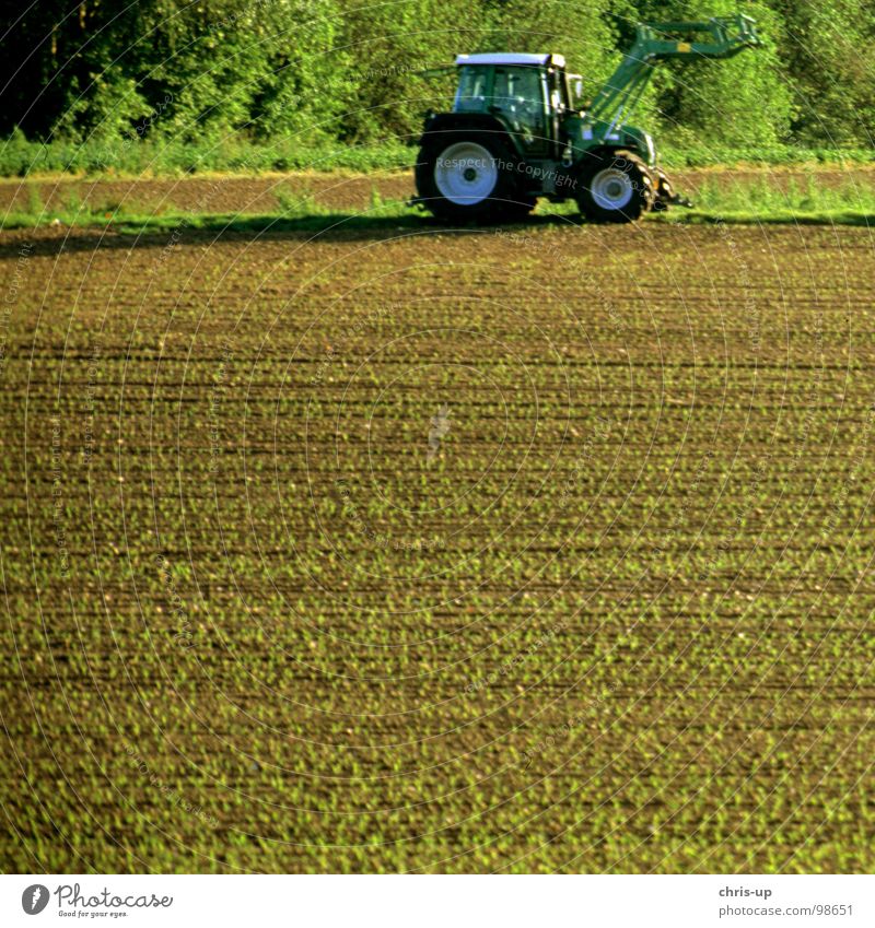 Traktor 1 Feld Landwirt Landwirtschaft Arbeit & Erwerbstätigkeit KFZ Nutzfahrzeug Fahrzeug Diesel Biodiesel Fußweg Landstraße Pflug Gemüsebau braun grün