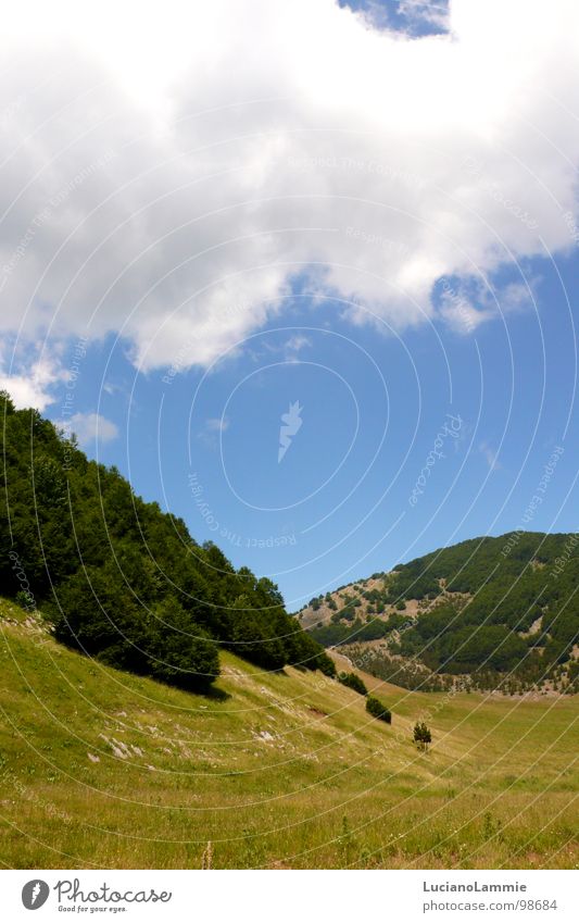 Pollino Basilikata Himmel Natur Italien south italy pollino mountain lucania cloud sky tree sun white and blu