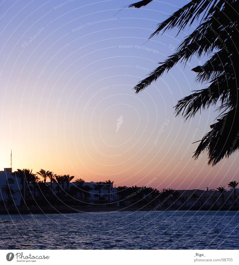 Die Sonne ist weg Sonnenuntergang Palme Strand Meer Haus Küste Afrika Himmel Wasser blau Bucht