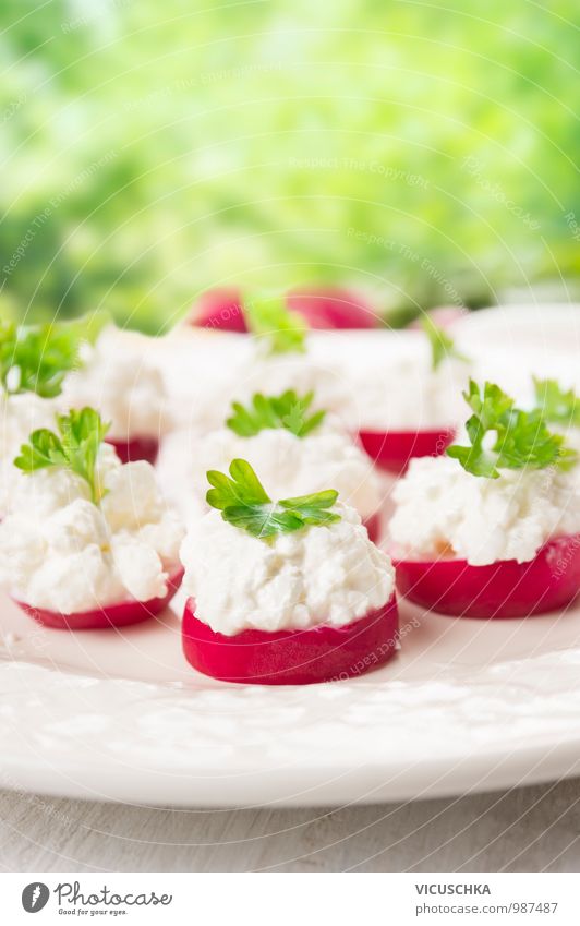 Radieschen Häppchen mit Frischkäse im Garten Lebensmittel Käse Milcherzeugnisse Gemüse Kräuter & Gewürze Ernährung Frühstück Mittagessen Picknick Bioprodukte