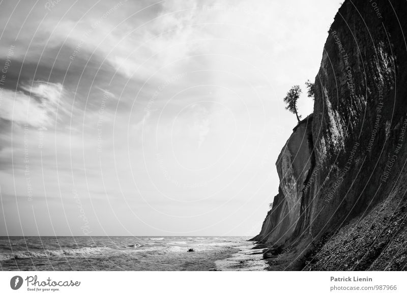 Collapsing Horizon (2) Umwelt Natur Landschaft Urelemente Erde Luft Himmel Horizont Klima Klimawandel Wetter Pflanze Baum Wellen Küste Strand Bucht Ostsee Meer