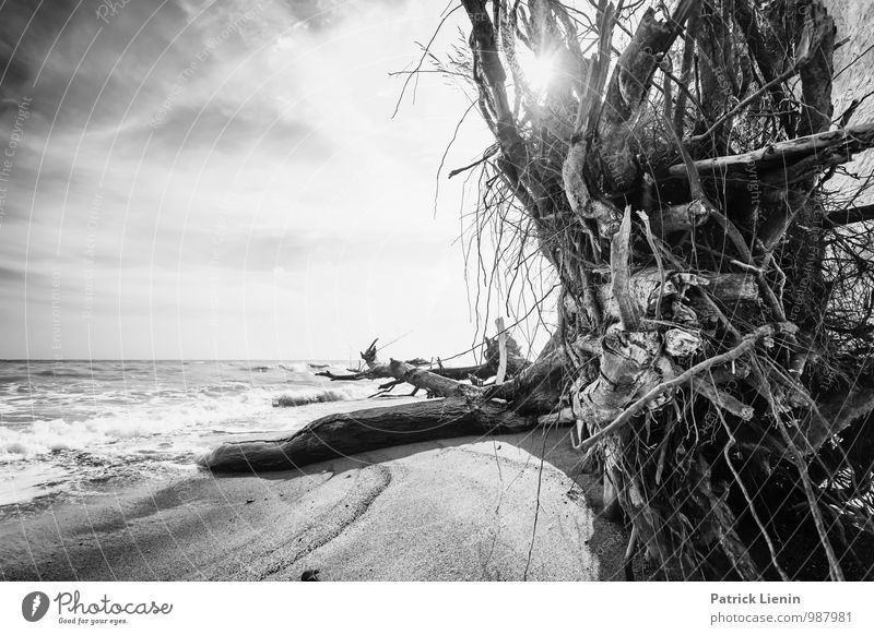 Collapsing Horizon Umwelt Natur Landschaft Urelemente Luft Wasser Himmel Sonne Wetter Schönes Wetter Pflanze Baum Wellen Küste Strand Ostsee Meer ästhetisch