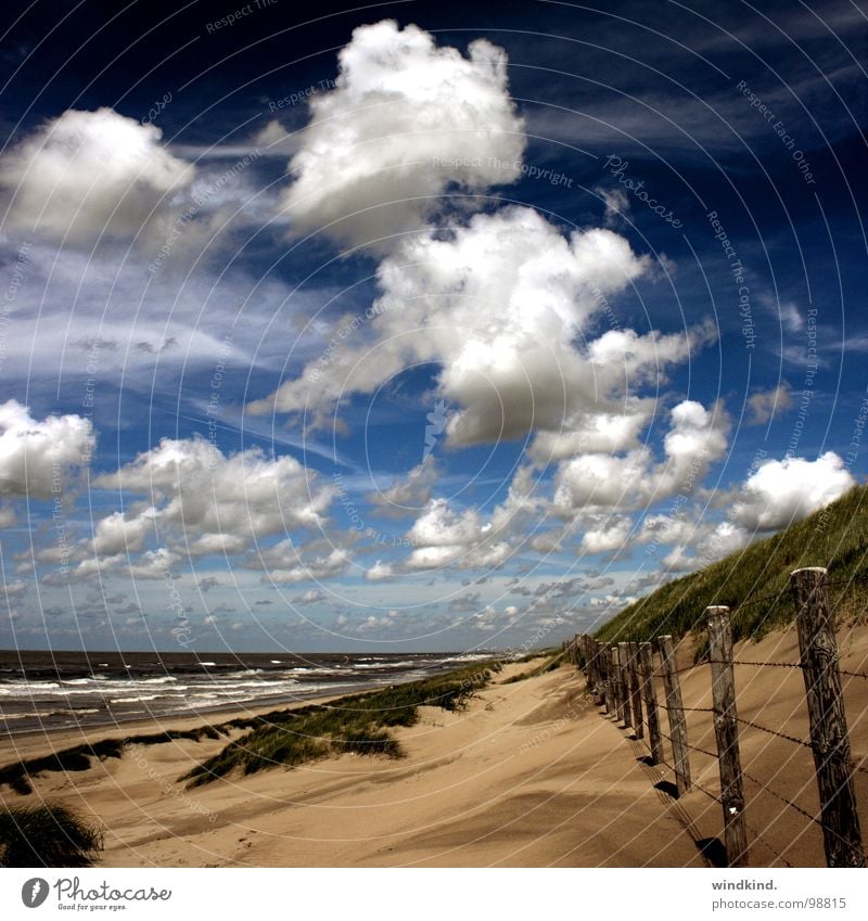 we are nowhere and it is now Meer kalt Strand Wolken weiß grau Zaun Brise See Sonne Physik Sommer frisch Himmel blau Wind Sand Stranddüne Wetter Wildtier Wärme