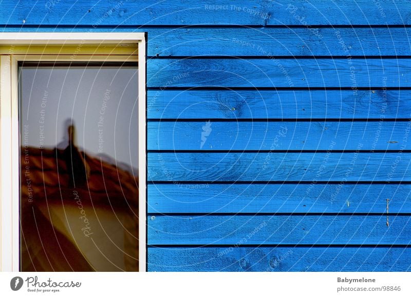 mein Nachbar Haus Fenster Reflexion & Spiegelung Holzhaus Wand Holzleiste Symmetrie Holzwand Niedrigenergiehaus blaues Haus Teilung Schweden