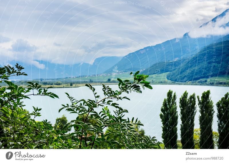 Kalterer See Wellness Erholung ruhig Ferien & Urlaub & Reisen Sommer Sommerurlaub Umwelt Natur Landschaft Himmel Gewitterwolken Wetter Baum Sträucher Alpen