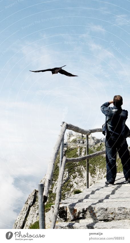 Zum Greifen nah Ferne weiß Unendlichkeit aufsteigen Steintreppe unten Fotografie Fotografieren Tourist Mann Vogel Grenze Momentaufnahme Wolken Sommer Am Rand