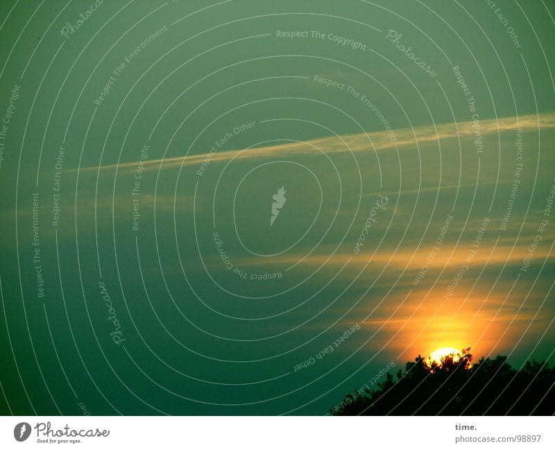 Dort könnte es sein Dämmerung Licht Sonne Himmel Wolken Baum weinen grün Gefühle Kraft Vertrauen Liebeskummer Sehnsucht Fernweh Abenddämmerung Sonnenuntergang